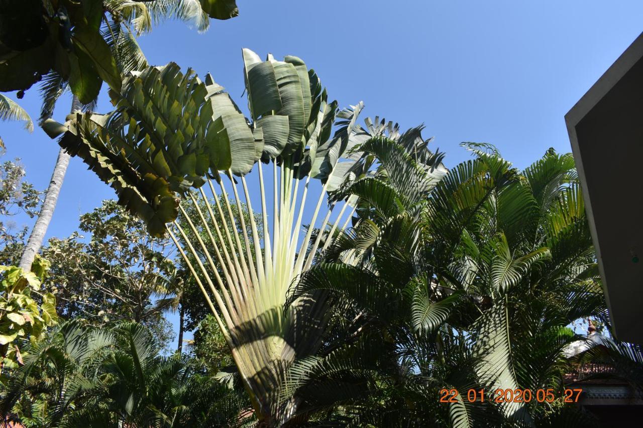 The Village Varkala Exterior photo